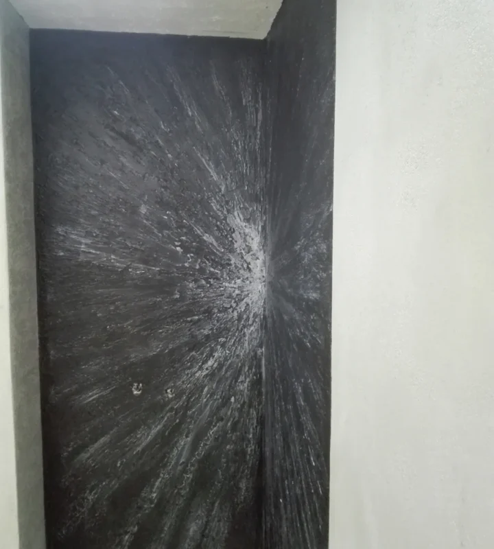 پروژه میکروسمنت سرویس بهداشتی