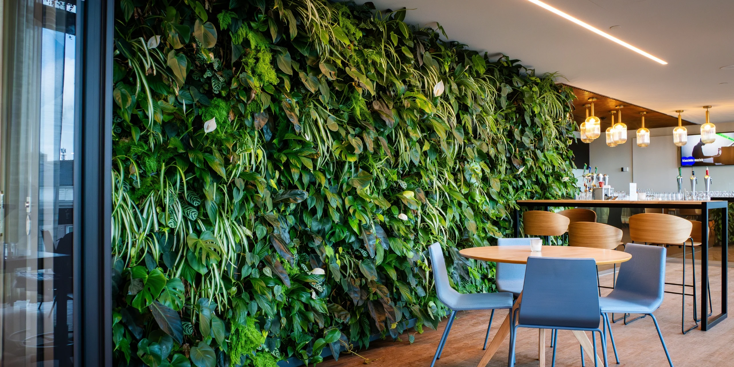 دیوار گرین وال چیست؟